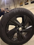2021-2023 Hyundai Elantra Wheel Rim 16" Tire 205/55 R16 91H Kumho Set Of 4 Oem New. Price: $700.00.