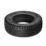 Nokian Outpost Nat 265/70R17 115T Sl Tire New. Price: $203.03.