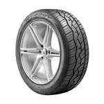 Nitto NT420V 295/30R22 103V Xl New. Price: $353.57.