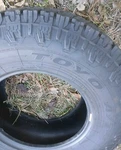 285/75R17 Tire Toyo Open Country R/t Trail Never Mounted New!!! Nos. Price: $175.00.