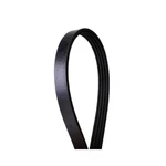 Serpentine Belt-multi-v Continental Elite 4040372 New. Price: $52.84.